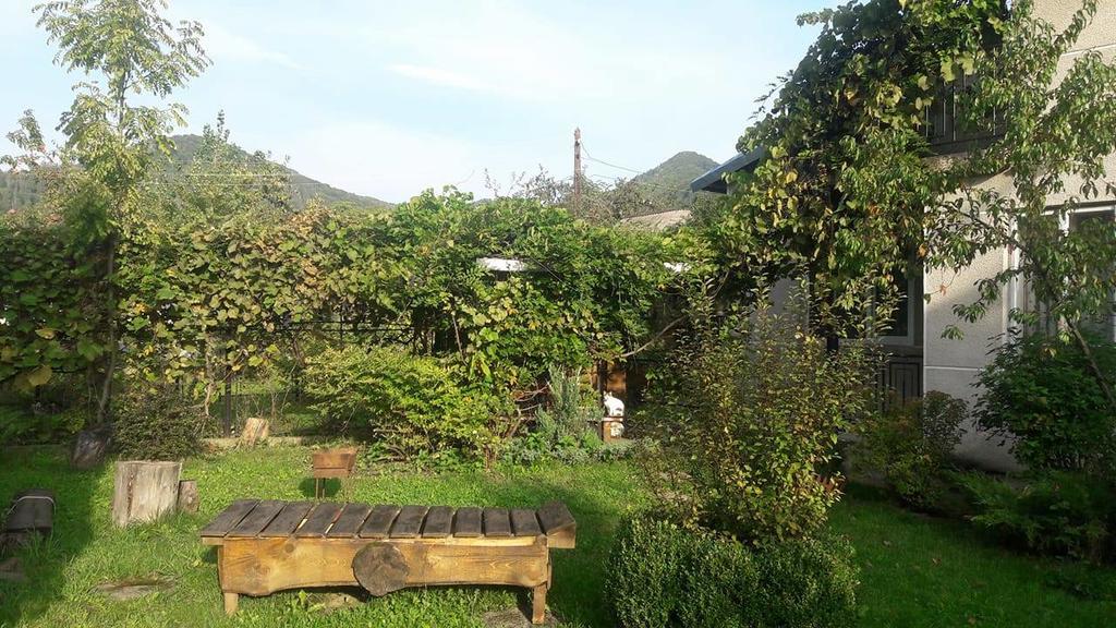 Sadyba Karpatskyi Vedmid Cosău Exterior foto