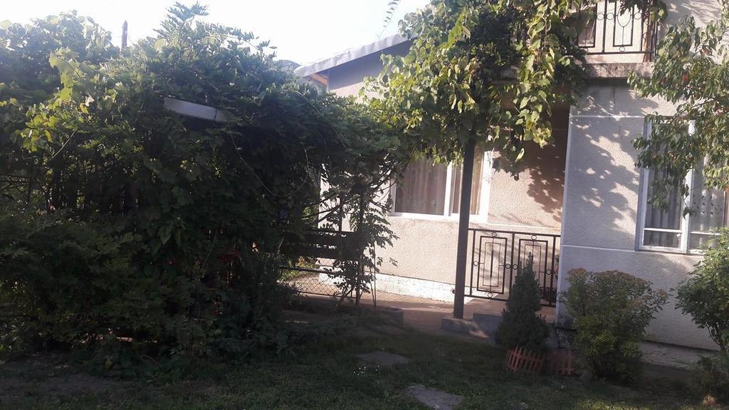 Sadyba Karpatskyi Vedmid Cosău Exterior foto