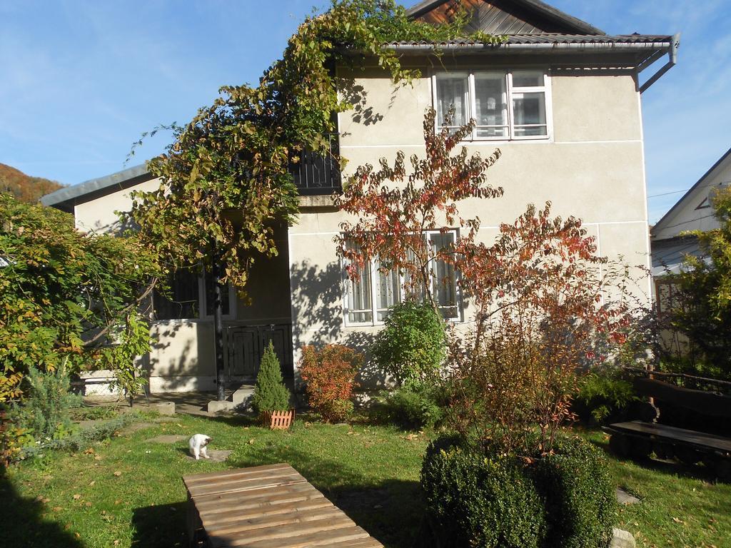 Sadyba Karpatskyi Vedmid Cosău Exterior foto