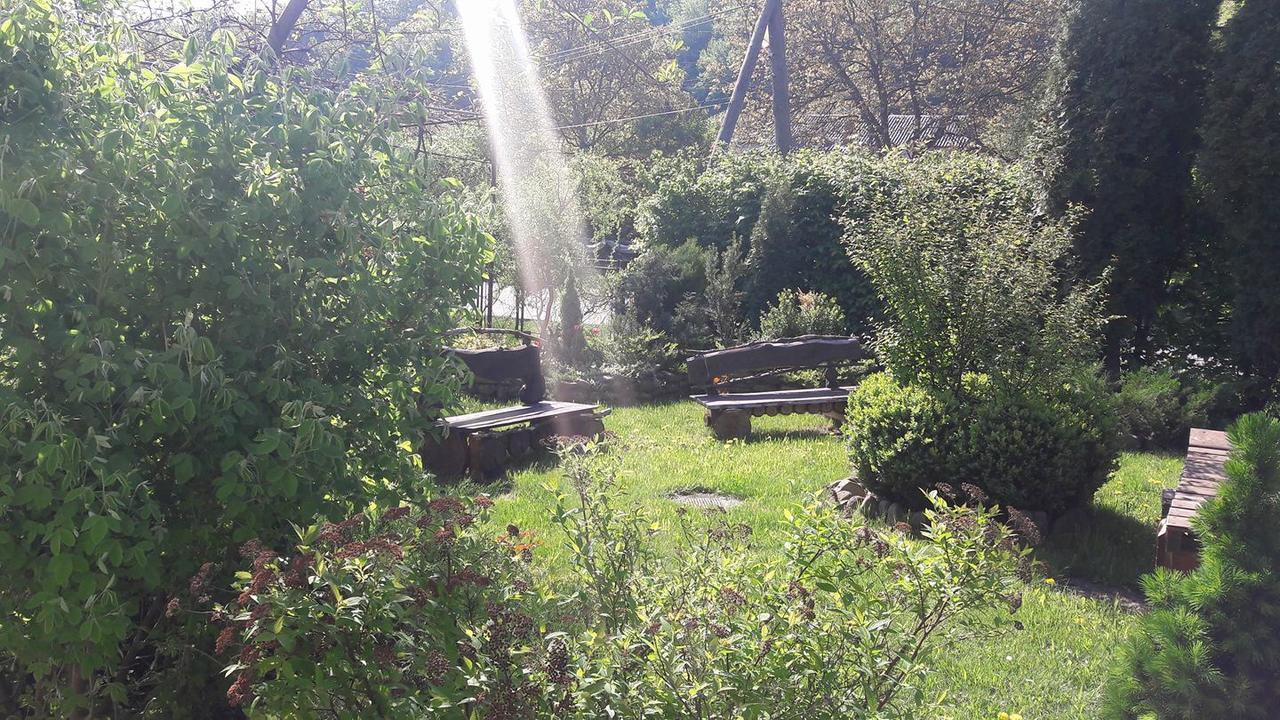 Sadyba Karpatskyi Vedmid Cosău Exterior foto