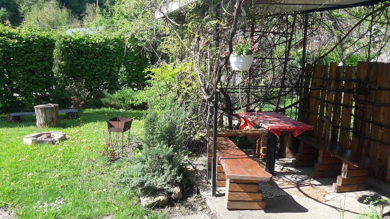 Sadyba Karpatskyi Vedmid Cosău Exterior foto